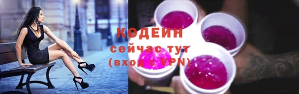 стафф Осташков
