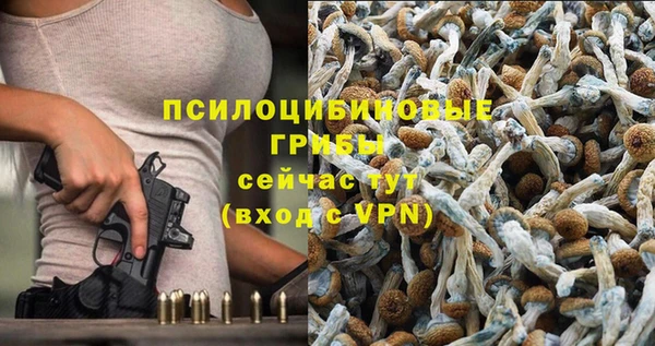 метадон Пестово