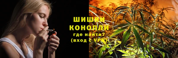 Альфа ПВП Пересвет